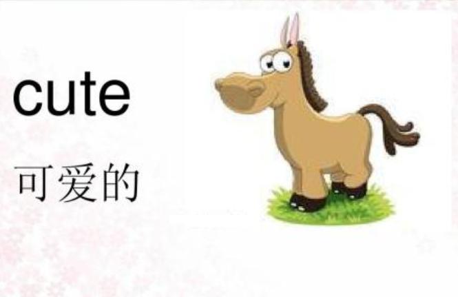 cute是什么意思-mule是什么意思