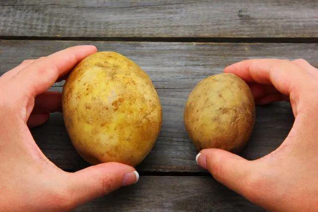 potato什么意思的簡單介紹