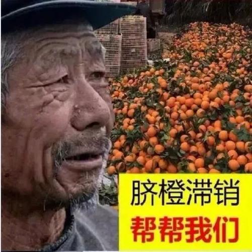 滯銷-滯銷是什么意思