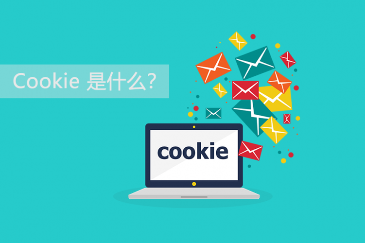 cookie是什么意思-cookie是什么意思中文