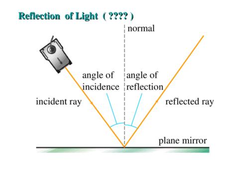 Selfreflection-selfreflection翻譯