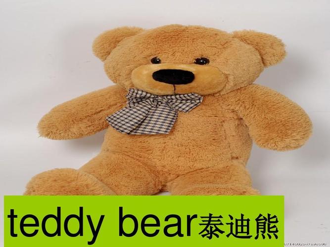 teddy是什么意思-Teddy是什么意思英語(yǔ)怎么讀