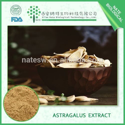 astragalus-astragalus root