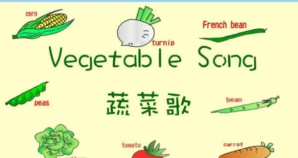 vegetables怎么讀-vegetable怎么讀