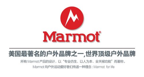 　marmot-marmot怎么讀