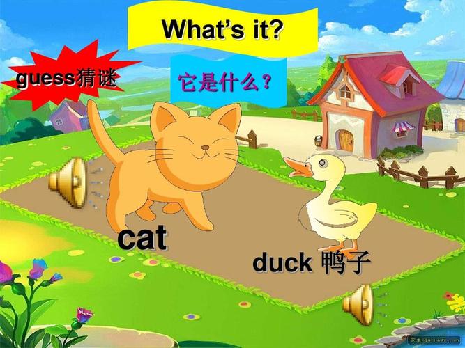 duck是什么意思-duck是什么意思英語(yǔ)怎么讀音