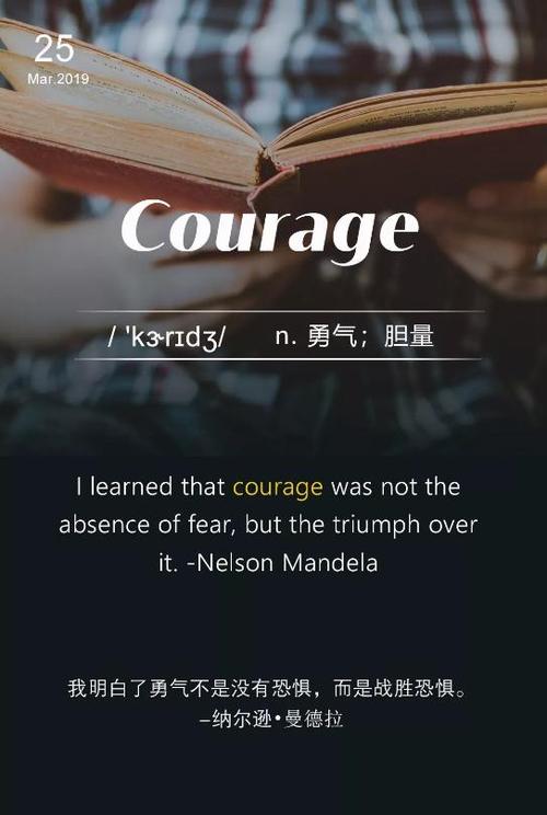 courage什么意思-courage什么意思中文翻譯