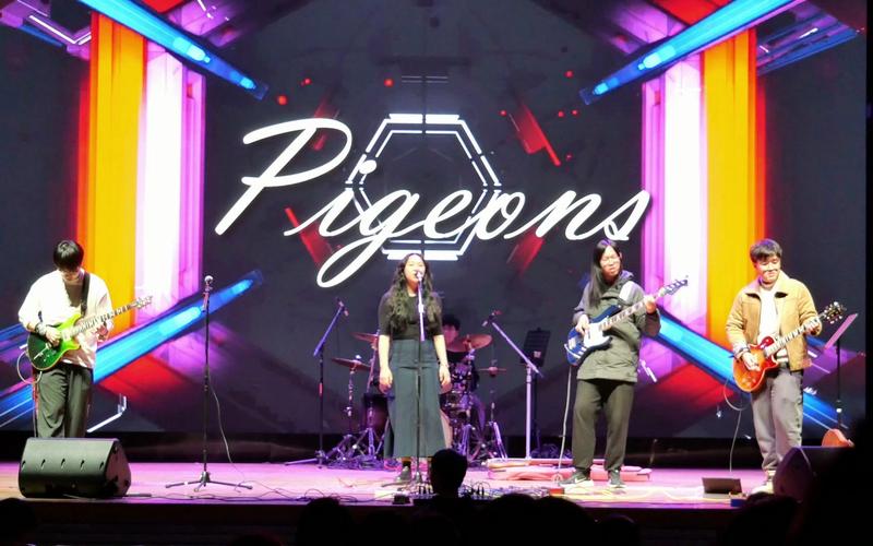 pigeons-pigeons音游