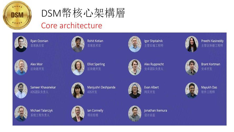 dsm-dsm是什么職位