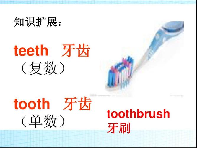 toothbrush-toothbrush歌詞翻譯