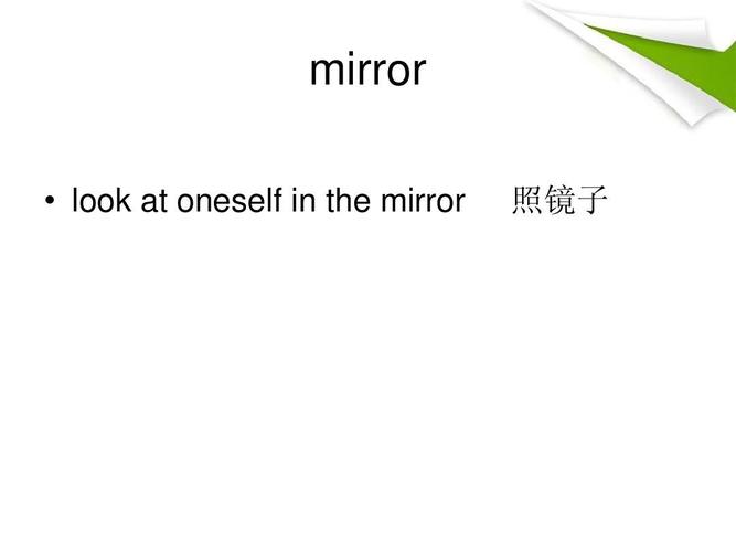 mirror是什么意思-mirror是什么意思英語(yǔ)