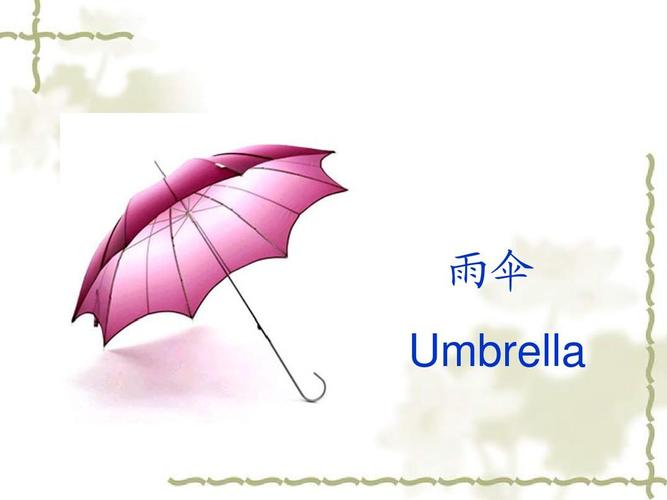 傘的英文-傘的英文怎么讀umbrella