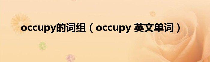 occupy什么意思-occupy是什么意思翻譯