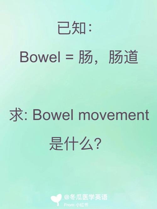 bowel-bowel movement