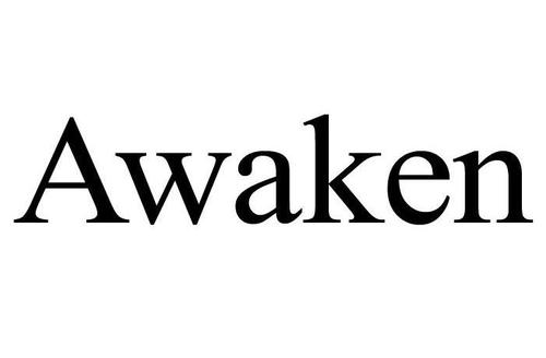 awaken-awaken是什么意思