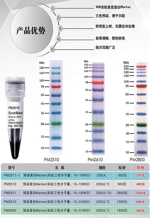 marker是什么意思-homemarker是什么意思