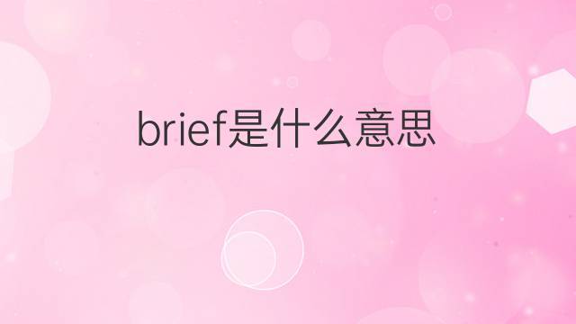 brief-brief什么意思