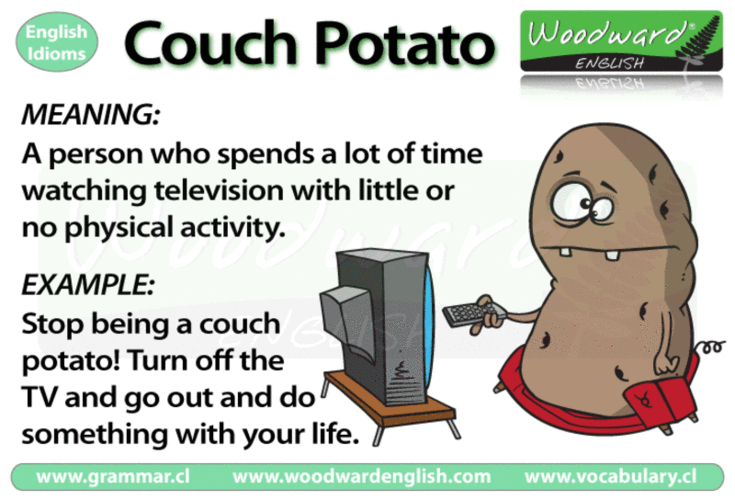 couch-couch potato