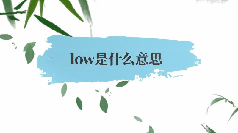 low是什么意思-low是什么意思中文