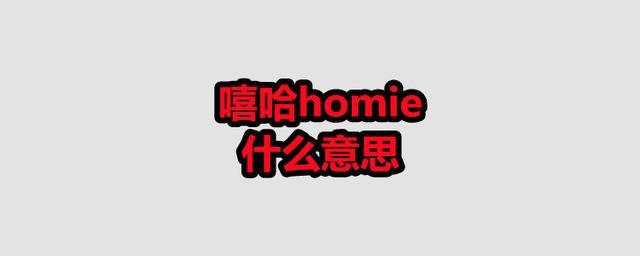 homie是什么意思-homie是什么意思梗