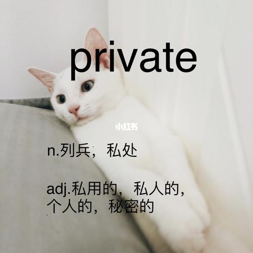 privates-private的縮寫(xiě)