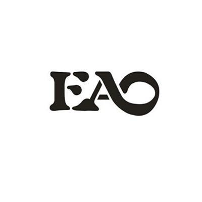 eao-eao什么意思