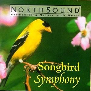 songbird-songbird是什么意思