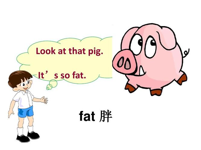 fat怎么讀-fat怎么讀英語