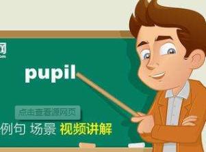 PUPIL英語怎么讀-pupil英語怎么讀是什么意思