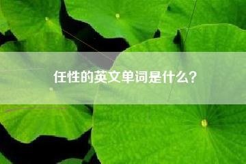 任性 英文-任性英文怎么說