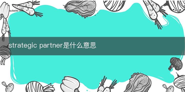 partner什么意思-