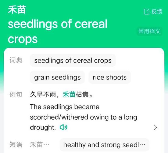 禾苗英語-禾苗英語翻譯