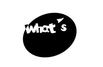 what是什么意思-what's