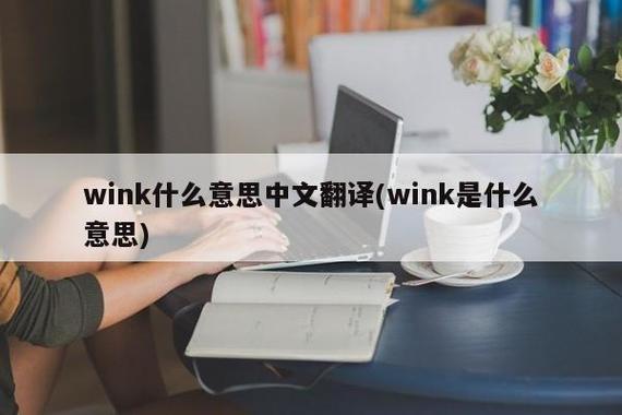 wink什么意思中文翻譯-wink翻譯成中文