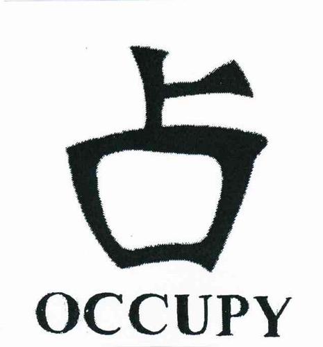 occupy是什么意思-occupy的中文意思是什么意思啊