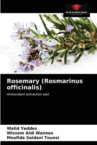 rosemary是什么意思-rosemary是什么意思中文