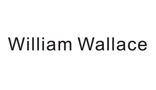 wallace-wallace單詞什么意思