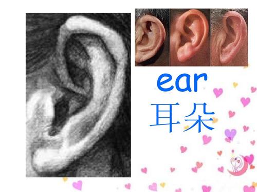 ear怎么讀-ear怎么讀英語(yǔ)