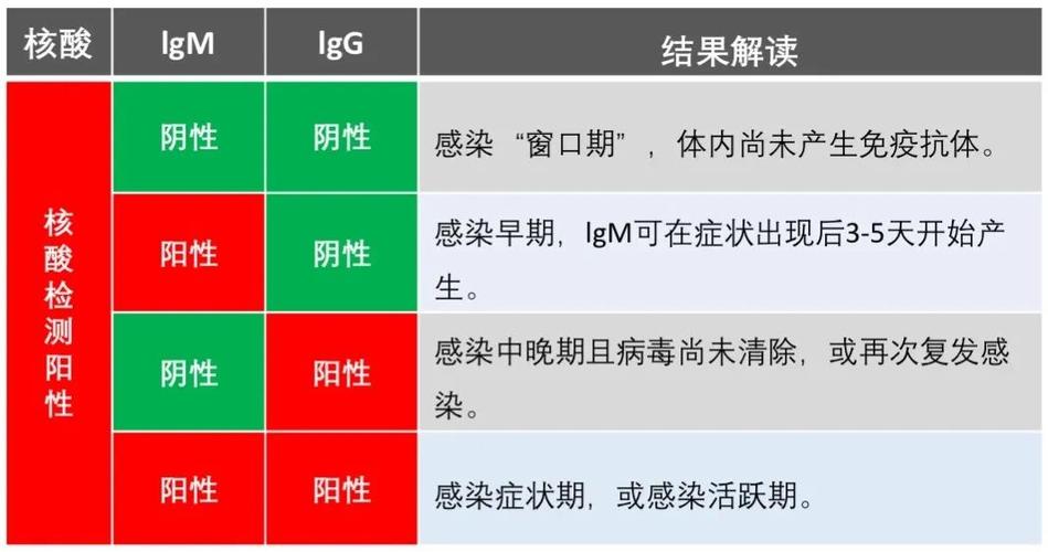 igm-igm和igg