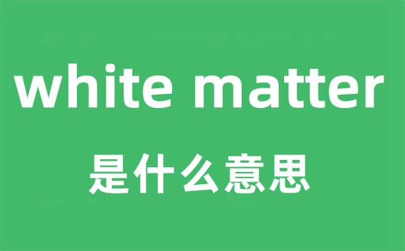 matter什么意思-matter的中文翻譯