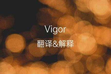 vigor-vigor英語