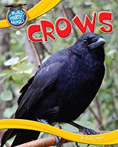 crows-crows怎么讀