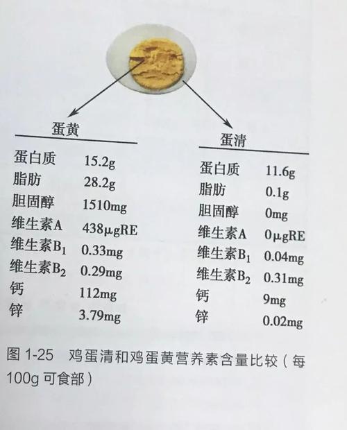 卵黃磷蛋白-卵黃磷蛋白的作用