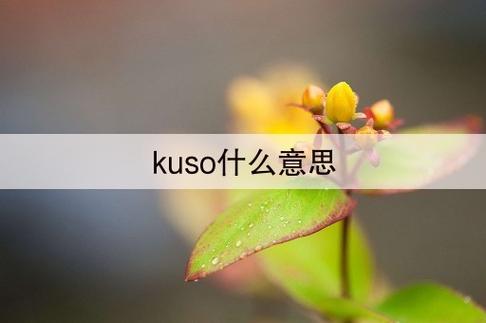 kuso什么意思-kuso什么意思日語