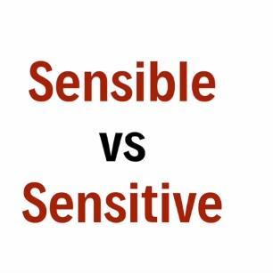 sensible-sensible的名詞