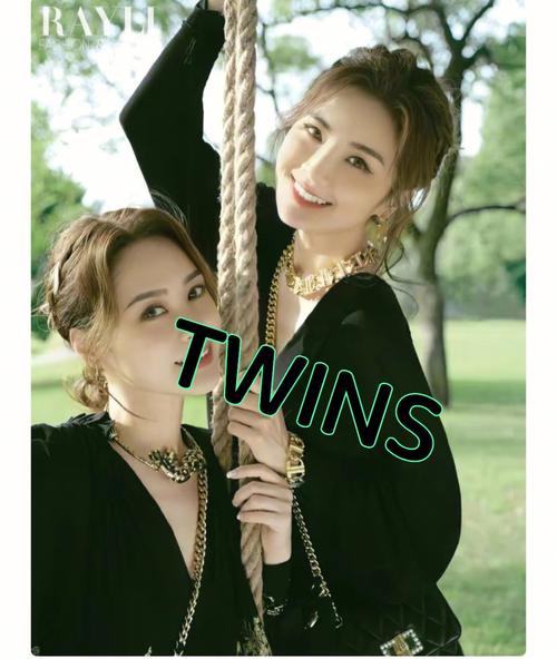 twins-twins組合的個人資料