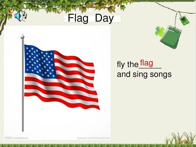 flagday-flagday怎么讀