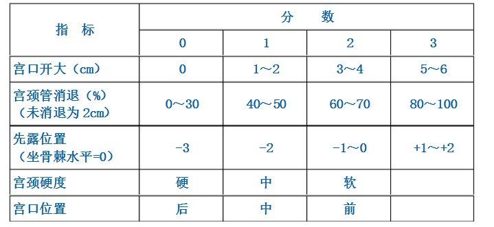 bishop-bishop評(píng)分是什么意思