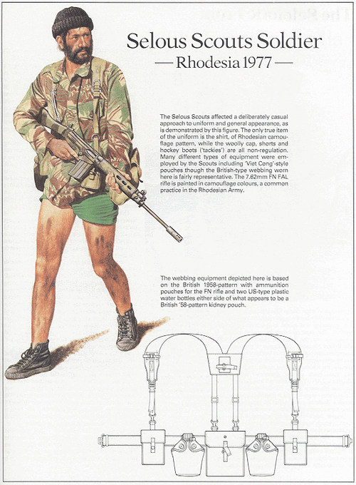 rhodesia-rhodesian bush war