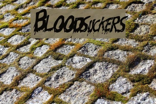 bloodsucker-bloodsucker例句